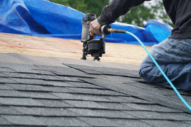 Best Roof Leak Repair  in Maroa, IL