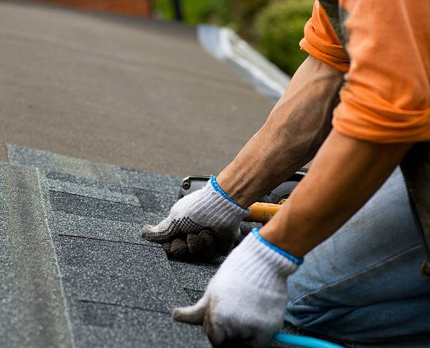 Best Shingle Roofing Installation  in Maroa, IL